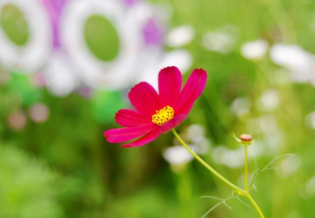 隨禮 ,可以看清一個人