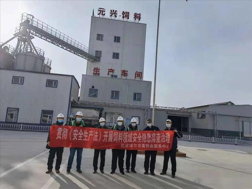 筑牢安全防線，保障市場(chǎng)供應(yīng)——市畜牧業(yè)服務(wù)中心開(kāi)展春節(jié)前飼料生產(chǎn)企業(yè)安全生產(chǎn)與銷售專項(xiàng)檢查